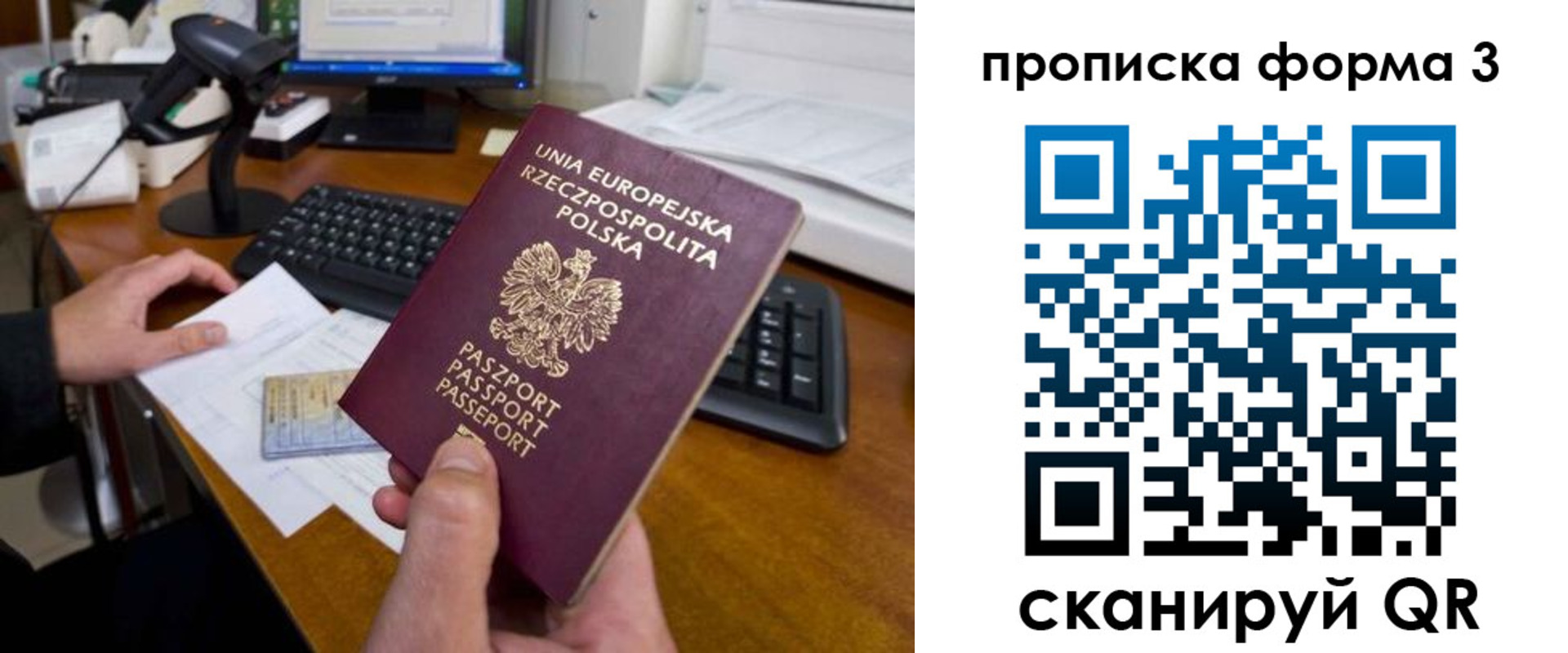 прописка иностранных граждан в Мончегорске